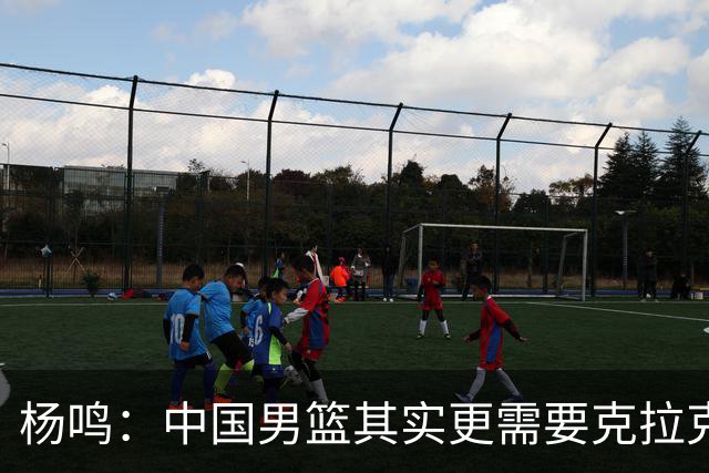 杨鸣：中国男篮其实更需要克拉克森这种小外援
